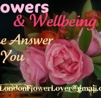 Flower Love Poem