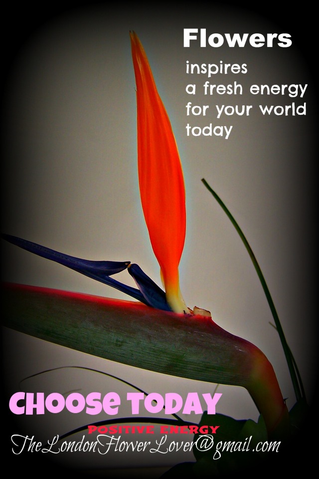 choose positive energy today