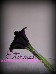 calla lilly peony eternal The London Flower Lover