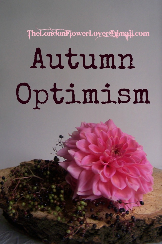 TheLondonFlowerLover Autumn Optimism
